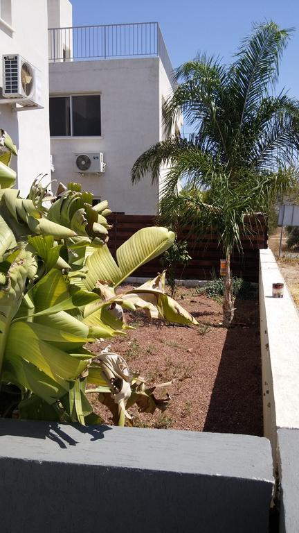 Palms Resort Apartments Alethriko 객실 사진